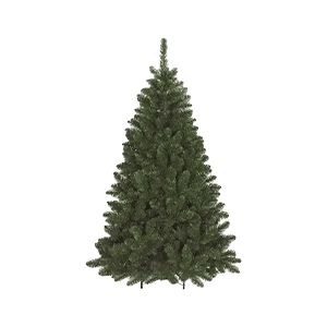 Alberi di Natale e Abeti