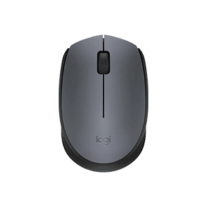 Mouse