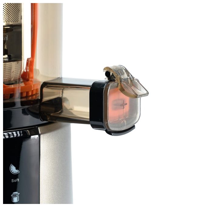 R.g.v. 110851 Estrattore Juice Art Digitale 200Watt