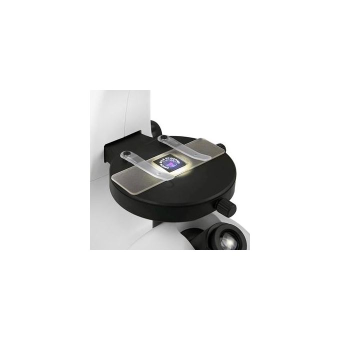 Atlantis E45-MS729 Microscopio Invertito Digitale USB Risoluzione UXGA 1600x1200 Ingrandimento 1300x Sensore CMOS colore Nero
