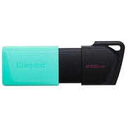 Kingston Flash Drive Usb3.2 256Gb Exodiam Nero-Verde