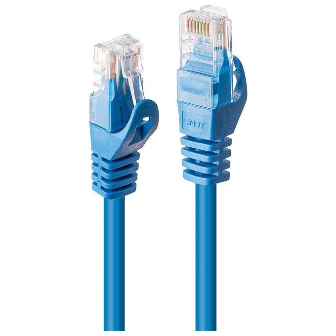 Lindy Cavo di Rete Cat.6 U-UTP Basic Blu 2mt