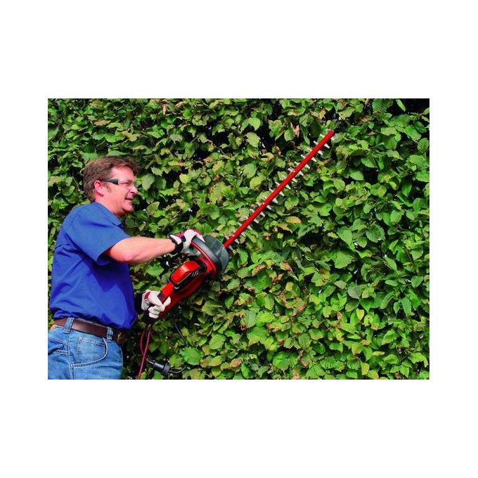 Einhell Tagliasiepi Elettrico Ge-Eh 6560 Potente e Affidabile per Potatura di Siepi e Arbusti con 650W di Potenza
