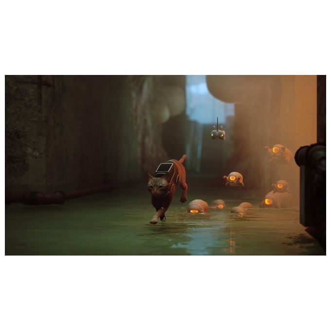 Skybound Games SWP50185 Stray Gioco per PlayStation 5 Versione ITA Standard PEGI 12 colore Nero
