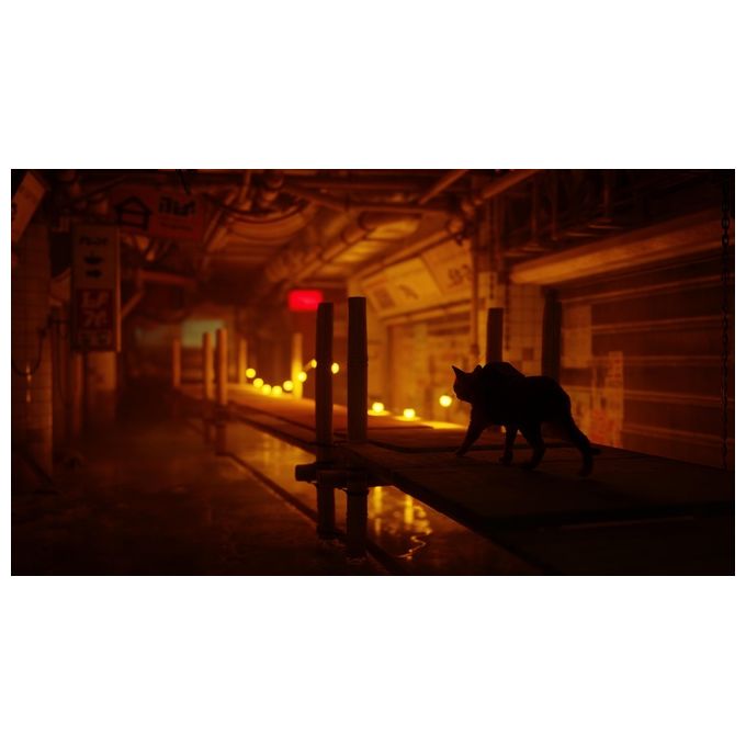 Skybound Games SWP50185 Stray Gioco per PlayStation 5 Versione ITA Standard PEGI 12 colore Nero