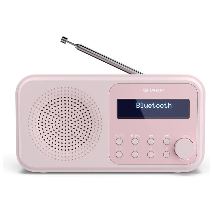 Sharp DR-P420 Radio Portatile Digitale DAB DAB+ FM Bluetooth 5.0 2 W autonomia 16 h colore Rosa