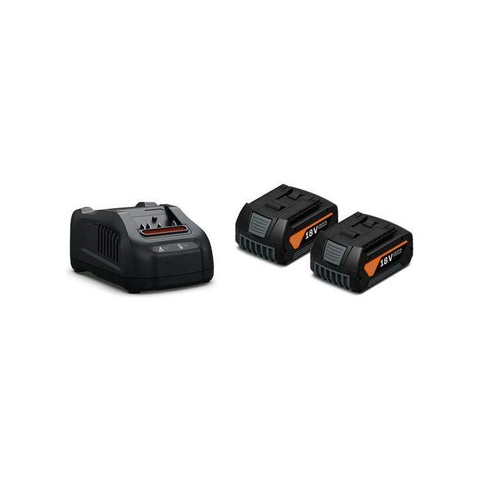 FEIN 92604246010 Starter Set Batteria e Caricabatterie 18 V 5.0 Ah 2 Pezzi Nero