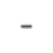 Apple MW493ZM-A Cavo di ricarica USB-C 60W 1 m tessuto intrecciato colore Bianco