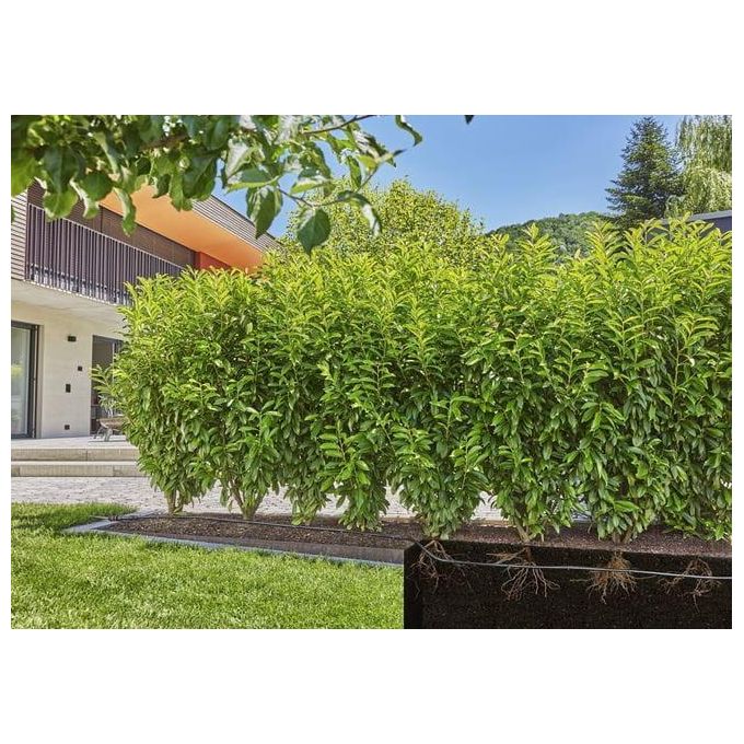 Gardena 13500-20 Micro-Drip-System Kit Irrigazione a Goccia Siepi Arbusti 25 m colore Nero