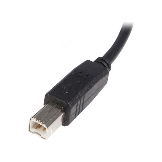 StarTech Cavo Usb 2.0 A A B 2 M - M-m