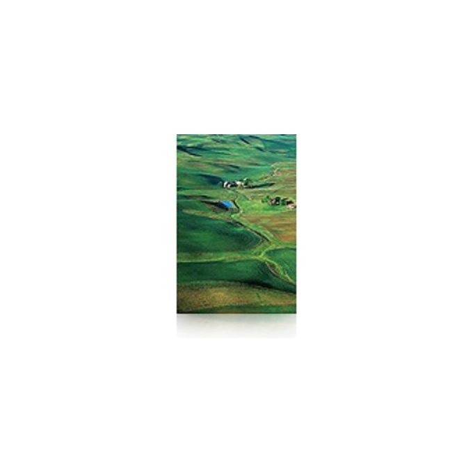 Epson 1675066 Premium Semigloss Photo Paper Carta Fotografica Semilucida 250 g-m² 152,4 cm x 30,5 m colore Bianco