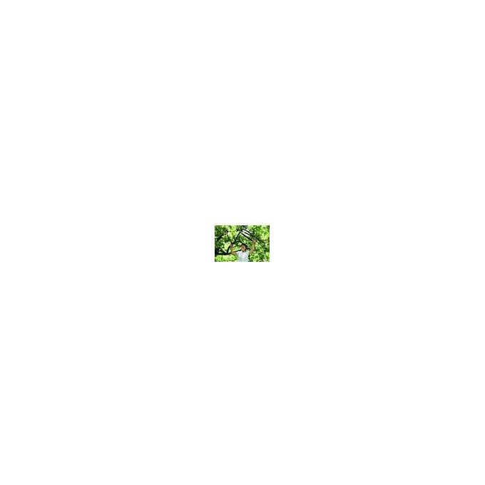 Fiskars PowerGear L77 69cm Troncarami a Incudine