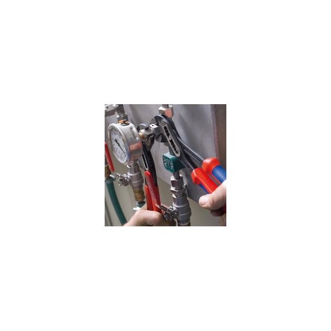 Pinza Knipex Poligrip Alligator Mm 250 8801