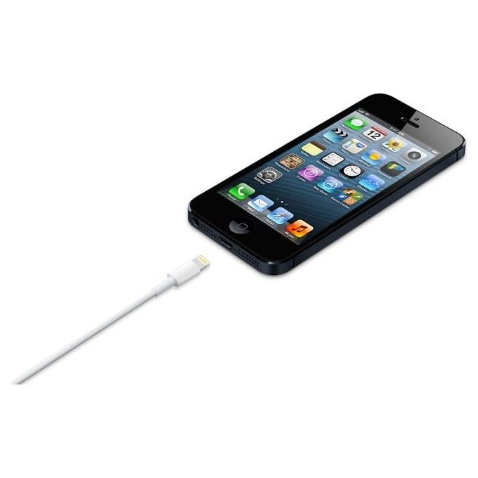 Apple Cavo da Lightning a Usb 1mt Bulk