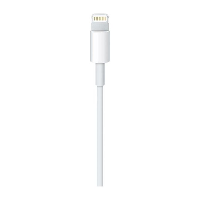 Apple Cavo da Lightning a Usb 1mt Bulk