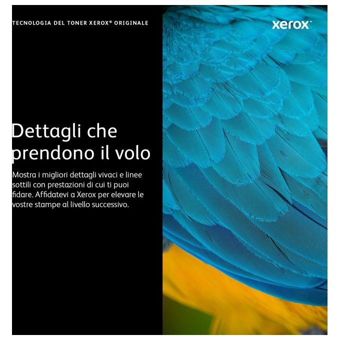 Xerox Toner Nero X Phaser 6020 Wc 6025