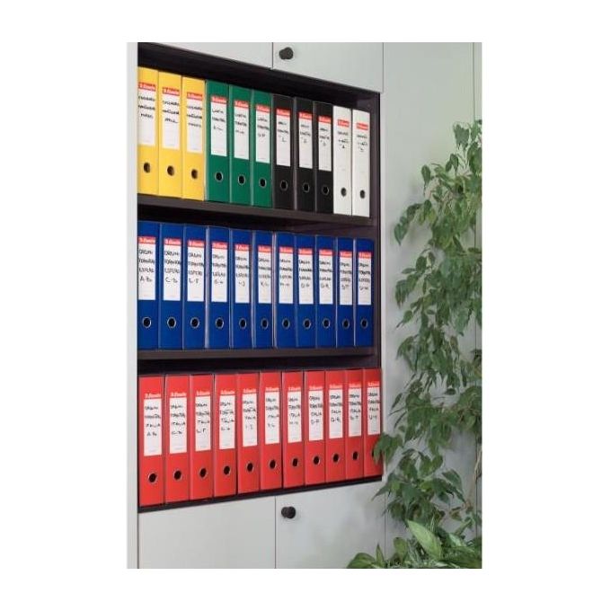 Esselte Cf6 Registratori Eurofile Blu