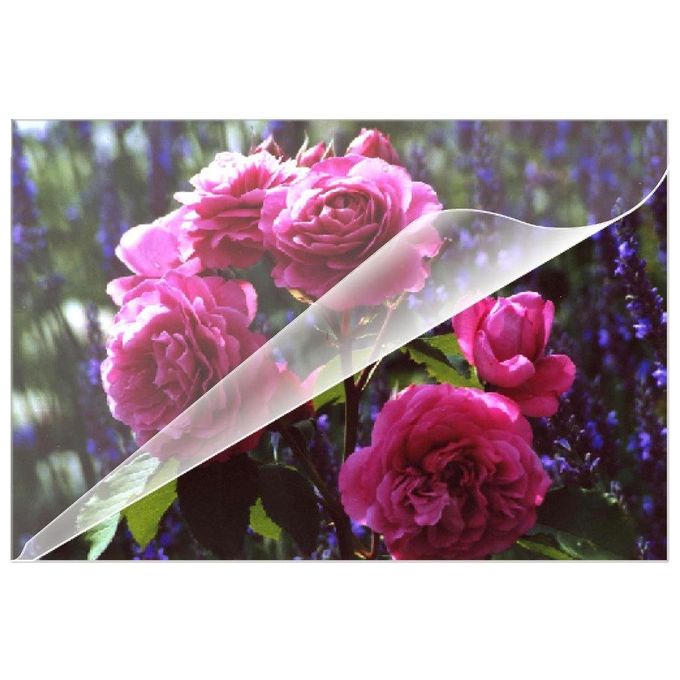 Olympia Buste di Plastificazione KIT_ 100 Pezzi