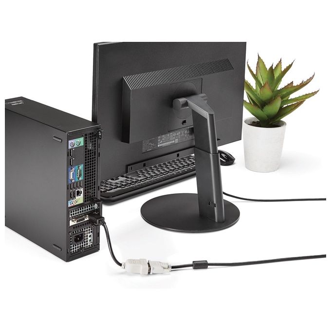 StarTech.com Adattatore Convertitore Video Displayport A Dvi