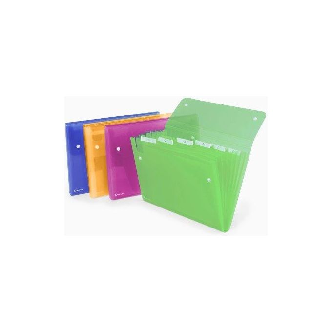 Rexel Archiviatore a Soffietto Ice 6 Tasche Assortito