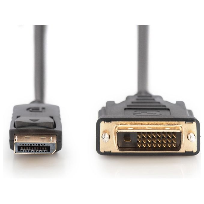 Assmann Electronic Cavo e Adattatore Video 3mt Displayport Dvi-D Nero