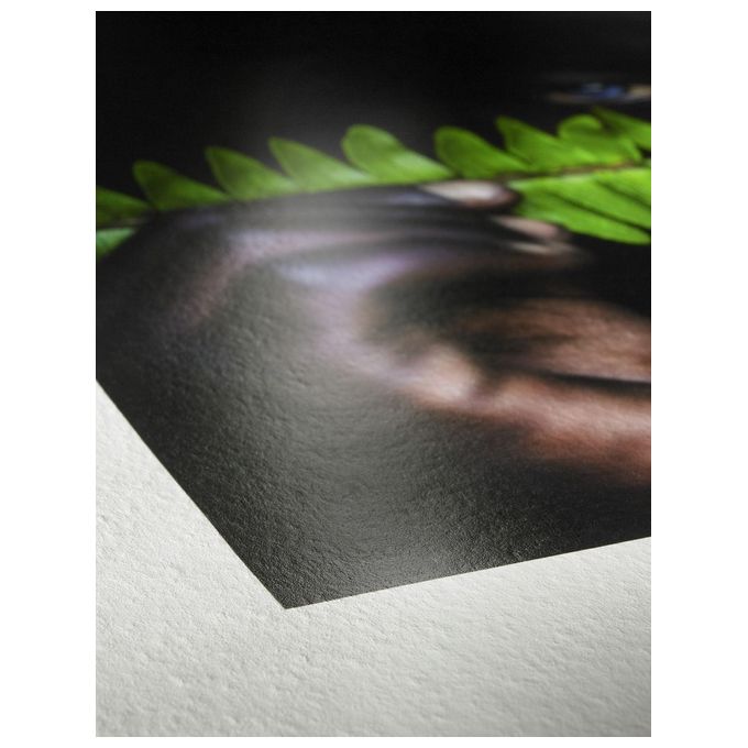 Hahnemuhle Digital FineArt A4 TestPack Carta Fotografica Lucida