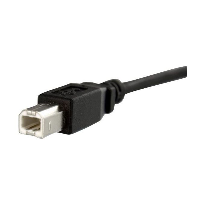 StarTech Cavo USB a pannello 91 cm B ad B - F-M