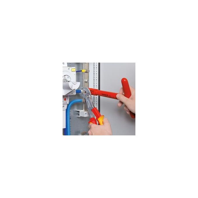 Knipex Pinze a Becco di Pappagallo 250mm
