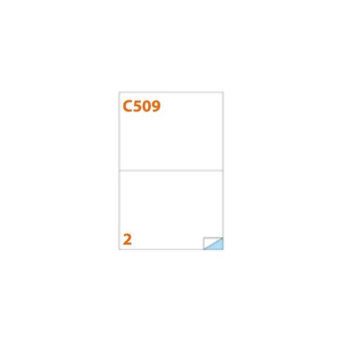 Markin Cf200 Etichette 210x148 Giallo