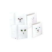 Pigna Confezione 5 Raccoglitori 30mm Fantasia White