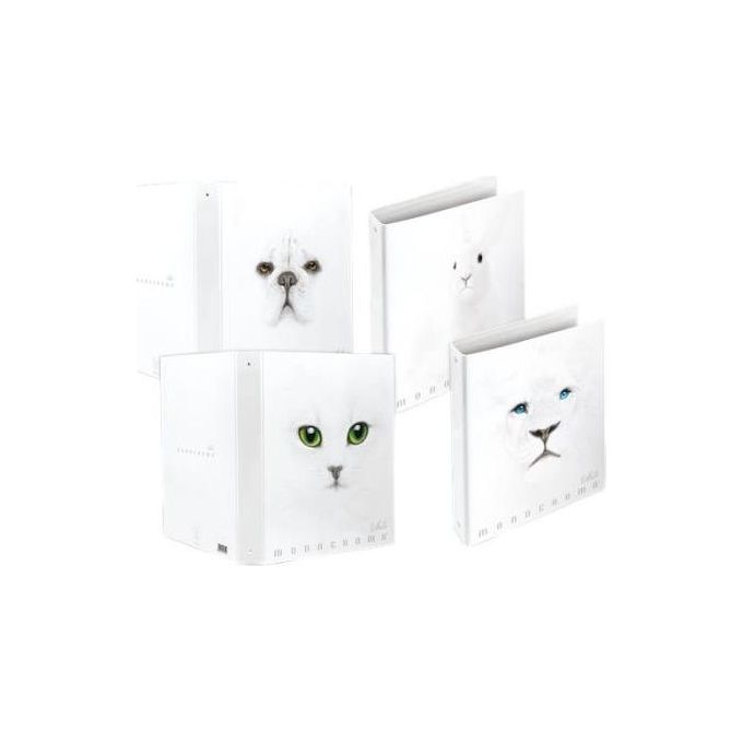 Pigna Confezione 5 Raccoglitori 30mm Fantasia White