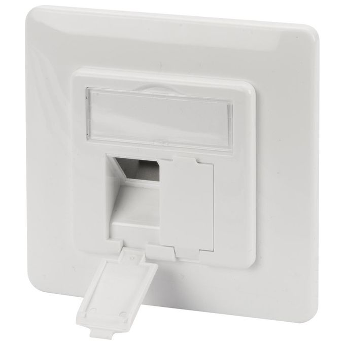 Digitus Pannello Frontale per Cassetta 80x80 per 2 Keystone Jack