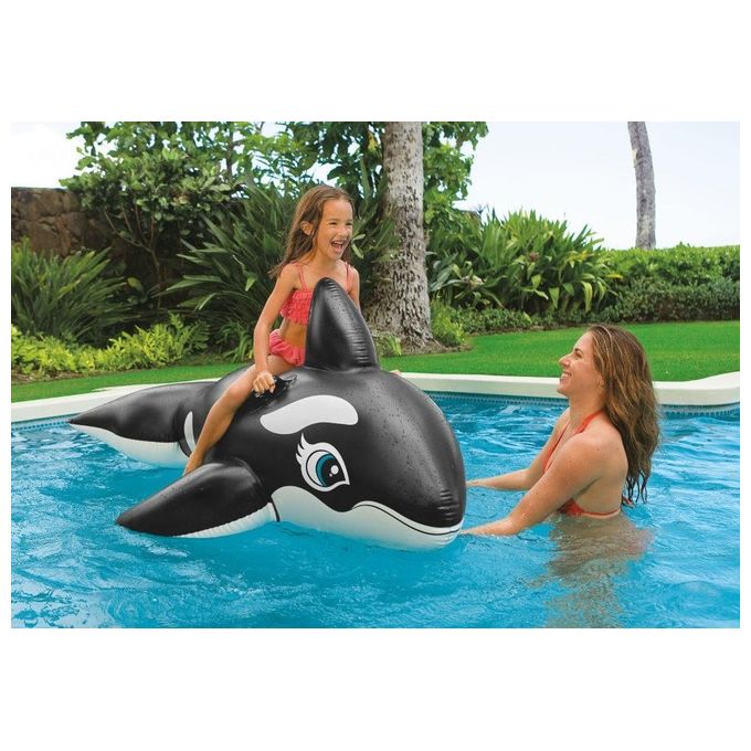 Cavalcabile Orca Cm. 193X119
