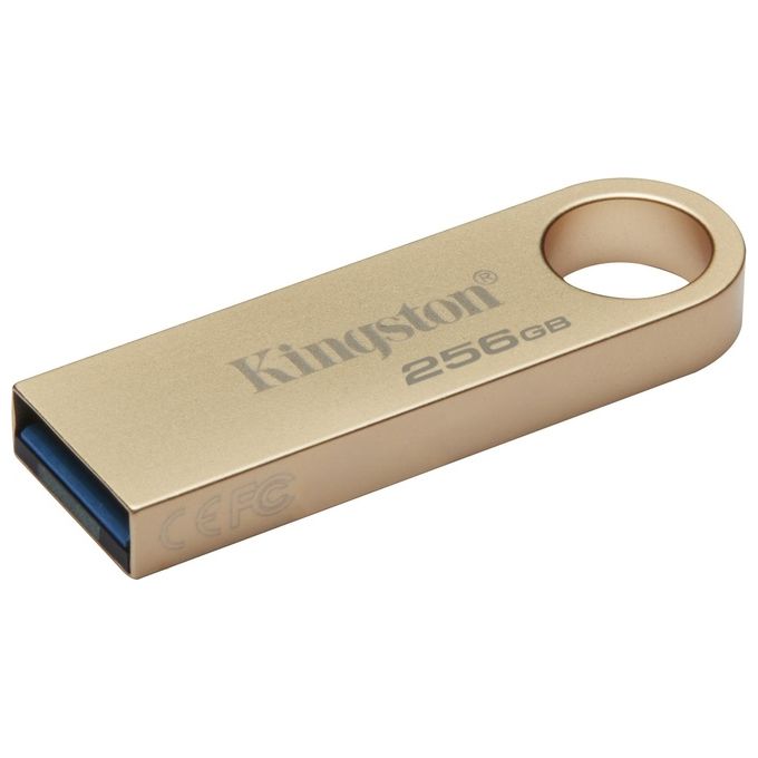 Kingston Technology DataTraveler 256Gb 220MB-s Drive USB 3.2 Gen 1 in Metallo SE9 G3