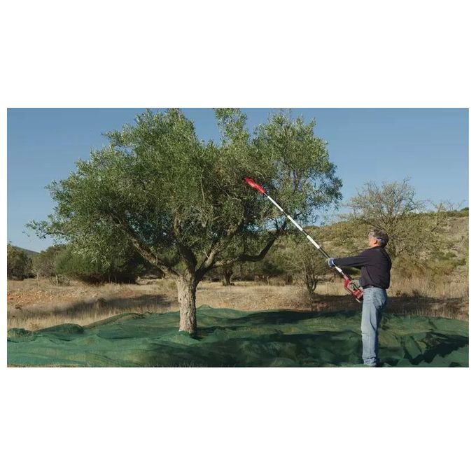 Einhell 3411400 GE-FS 18-53 Li-Solo Abbacchiatore a Batteria 18 V con Pettine Regolabile 28-53 cm Asta Telescopica 220-310 cm colore Nero Rosso
