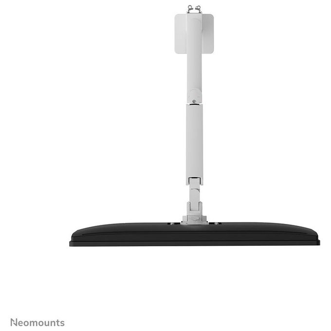 Neomounts W128881660 DS70-250WH1 Supporto da Scrivania per Monitor 17''-35'' Portata 9 Kg Regolazione Altezza 21,5-49,5 cm con Molla a Gas colore Bianco