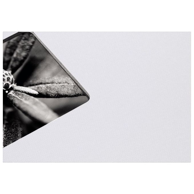 Hama Fine Art Album Fotografico e Portalistino a Spirale 28x24cm 50 Pagine Nere
