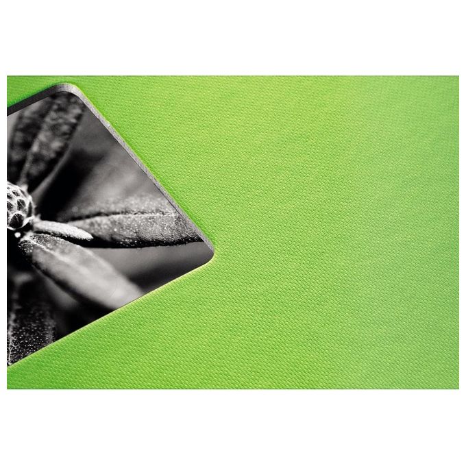 Hama Fine Art Album Fotografico e Portalistino a Spirale Kiwi 36x32cm 50 Pagine Bianche