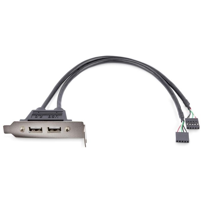 StarTech Adattatore piastra slot basso profilo 2 porte USB A femmina