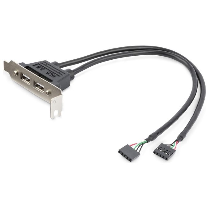 StarTech Adattatore piastra slot basso profilo 2 porte USB A femmina