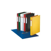 Esselte Raccoglitore in Plastica a 2 Anelli con Portaetichetta a4 verde