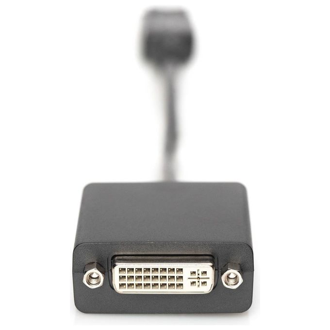Digitus Adattatore Displayport Maschio Dvi 24+5 Femmina