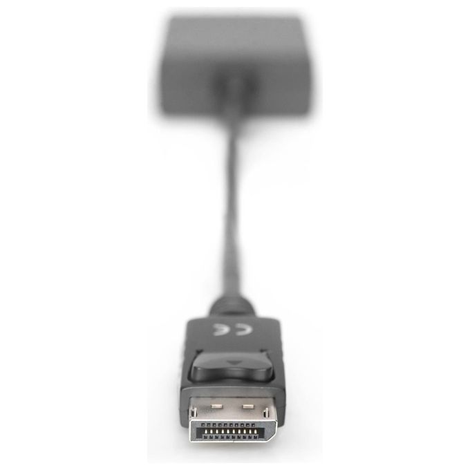 Digitus Adattatore Displayport Maschio Dvi 24+5 Femmina