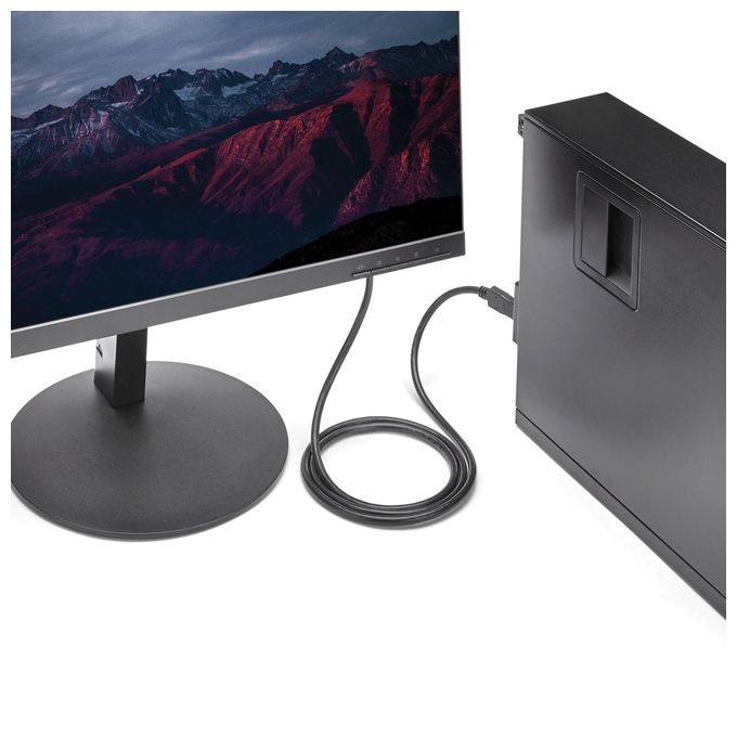 StarTech Cavo convertitore video DisplayPort a DVI da 1,80 m - M-M