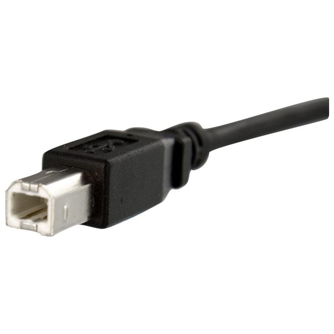 StarTech Cavo pannello USB 30 cm B a B - F-M