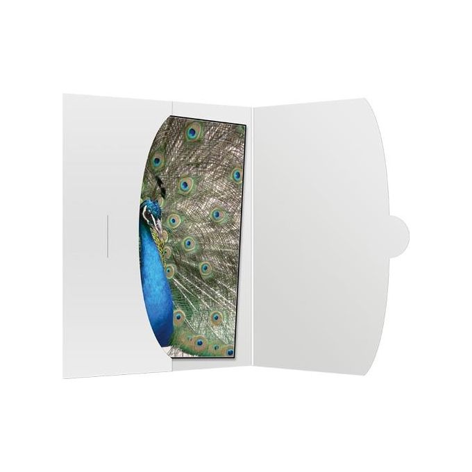 Daiber Busta di Protezione per Foto Fino a 15x20cm Bianco 50 Pezzi