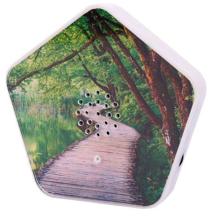 Olympia Sounds of Nature Box