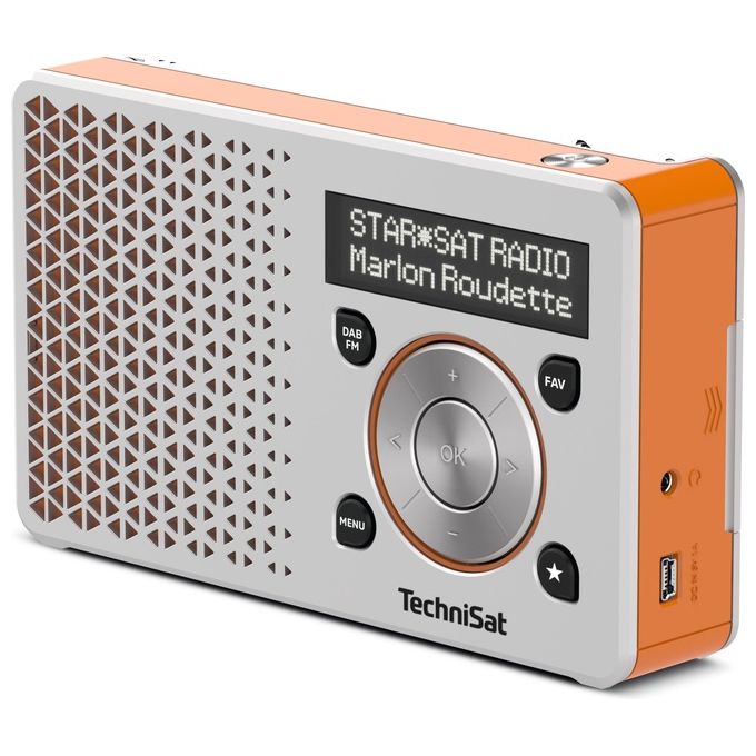 Technisat DigitRadio 1 Radio Portatile Digitale Argento-Arancio