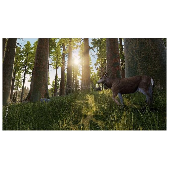 Bigben Interactive Hunting Simulator