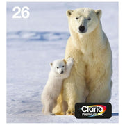 Epson C13T26164511 Polar bear Multipack 4-colours 26 EasyMail Cartuccia di inchiostro Nero Ciano Magenta Giallo colore Nero